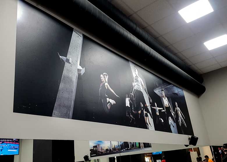 Decoracion en Vinilo