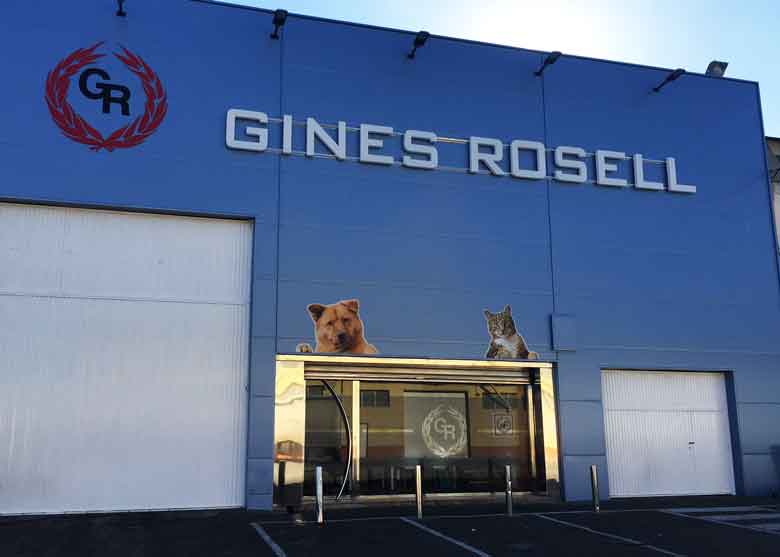 Letras Corporeas Murcia