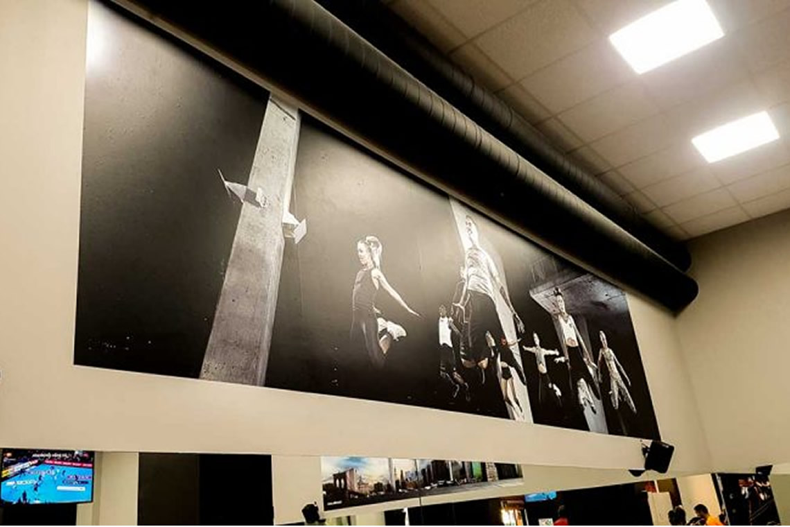 Decoracion en Vinilos